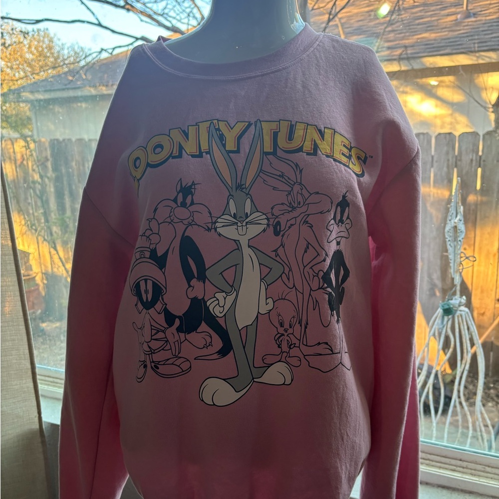 Warner Bros. Pink Women's Sweater